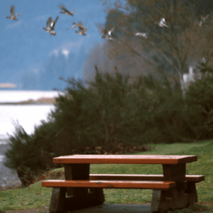 Bamberton Provincial Park