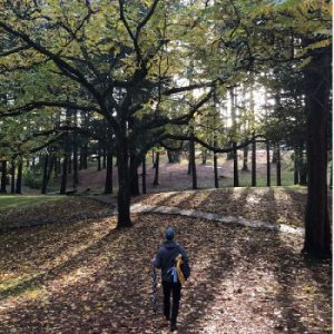Centennial Park Disc Golf Course