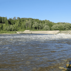 Denny’s Dam Conservation Area