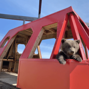 Discovery Wildlife Park