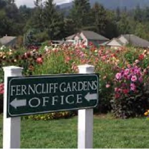 Ferncliff Gardens