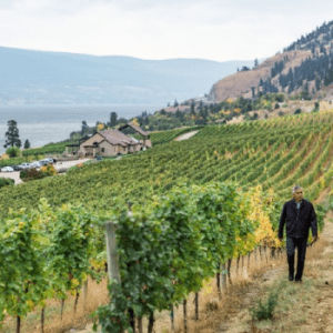 Fitzpatrick Family Vineyards at Greata Ranch