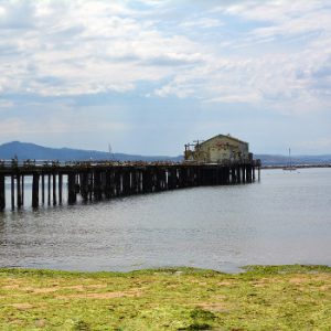Halfmoon Bay Pier