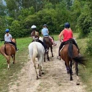 Horsin Around Riding Ranch