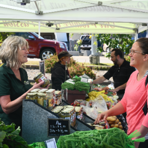 Innisfail Local Farmers Market