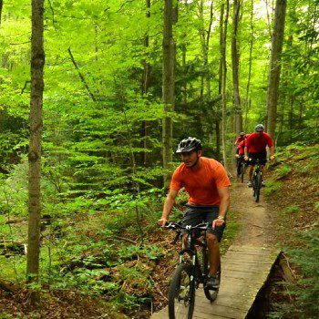 Mountain Bike Adventure Park - Wiarton | Ontario - 1000 Towns of Canada