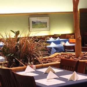 Mountain Pizza and Steak House