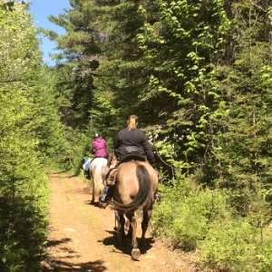 Multifunctional Trail