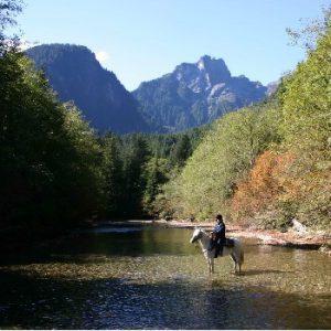 Mustang Riding Stables