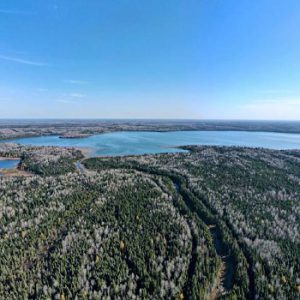 Nature Conservancy of Canada’s Goldie Feldman Nature Reserve
