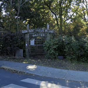 Oak Bay Native Plant Garden