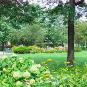 Parc de l’Île-Russell