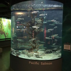 Shaw Center for the Salish Sea