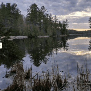Shaw Woods Outdoor Education Center
