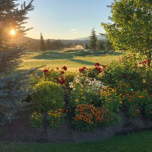 Shuswap Lake Golf Course