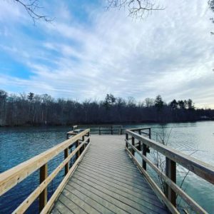 Springwater Conservation Area