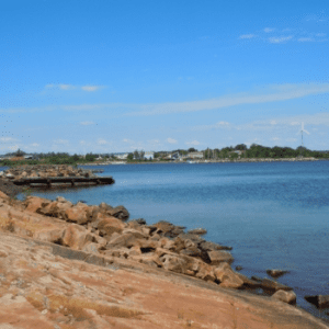 The Boom Camp Trails