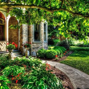 The Grays of Brussels