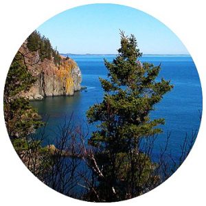 Thomas B. Munro Memorial Shoreline Nature Preserve