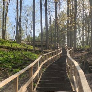 Thornton Bales Conservation Area