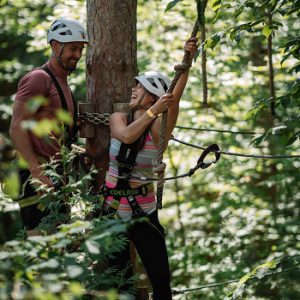 Treetop Trekking Hamilton