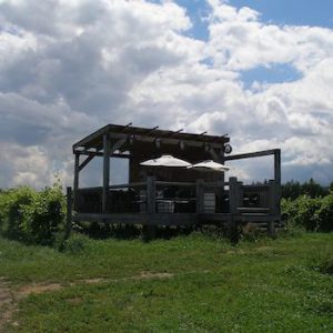 Vignoble de la Bauge