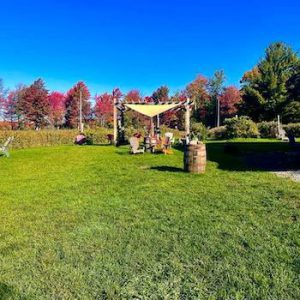 Vignoble la Grenouille & Domaine du P’tit Bonheur