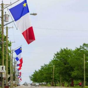 Village of Rogersville