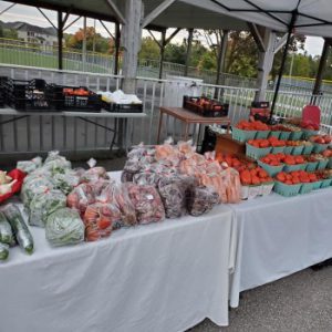 Wellesley Farmer’s Market