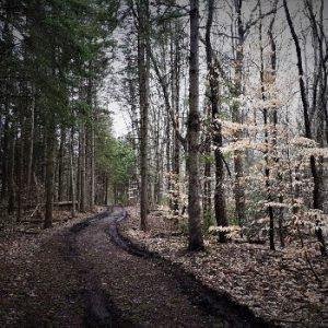 Whitchurch Conservation Area