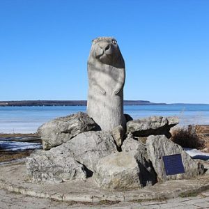 Wiarton Willie Festival