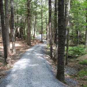 Woodland Gardens Park & Duck Pond