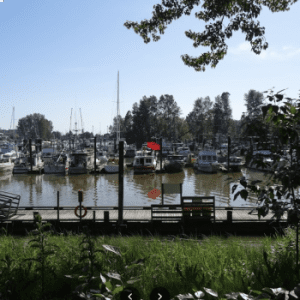 Ladner Harbour Park