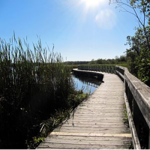 Centre d’Interprétation de la Nature du Lac Boivin