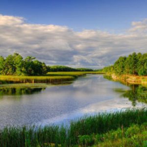 Crooked Creek Preserve