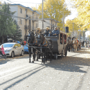 Festival du Cheval de Princeville