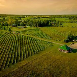 Jabulani Vineyard & Winery