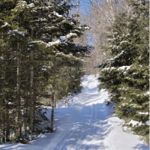 Le Geai Bleu Sainte-Thecle