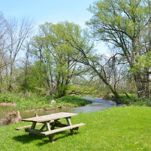 Lucan Conservation Area