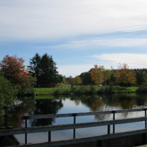 MacElmon’s Pond Provincial Park