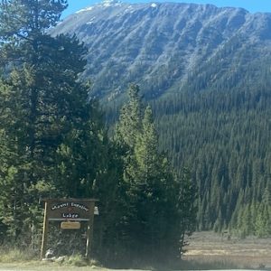 Mount Engadine Lodge Afternoon Tea