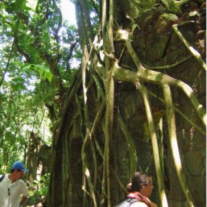 Parc d’escalade de la Montagne d’argent