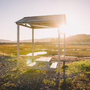 Partridge Island Trail and Look-off