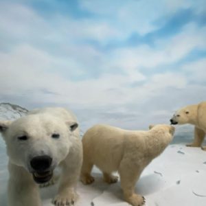 Pavillon de la Faune