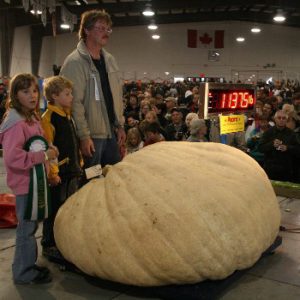 Smoky Lake Pumpkin Fair