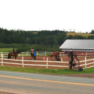 Spirit Reins Ranch
