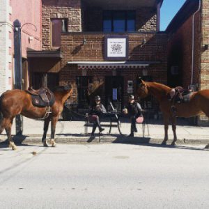 The Village Bean Coffee House