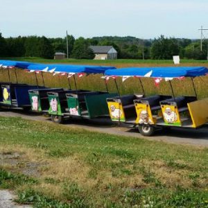 Valleyview Little Animal Farm