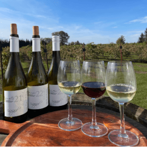 Vankleek Hill Vineyard