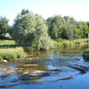 W.E Burton Conservation Area